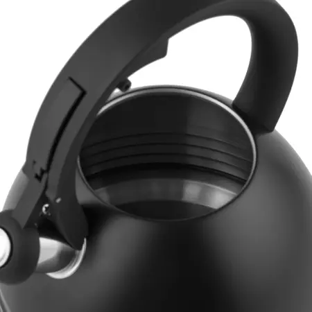 Czajnik nierdzewny Terrano 2,5 l