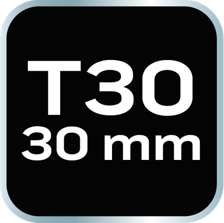Końcówka TORX T30 x 30 mm, S2 x 2 szt.