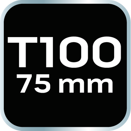 Końcówka TORX T100 x 75 mm, S2 x 2 szt.