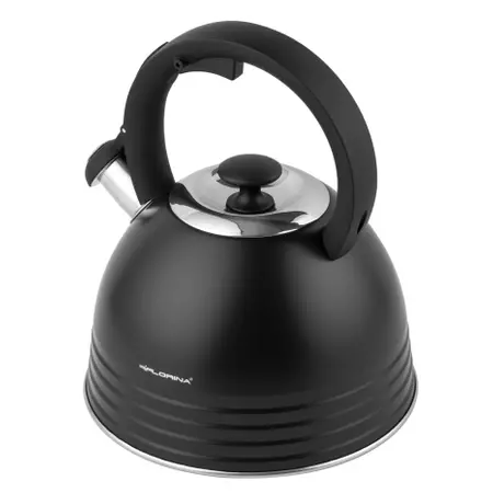 Czajnik nierdzewny Terrano 2,5 l