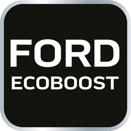 Zestaw blokad rozrządu do silników benzynowych ECOBOOST Ford