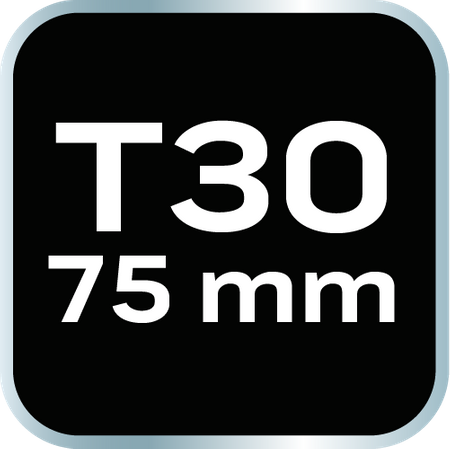 Końcówka TORX T30 x 75 mm, S2 x 2 szt.