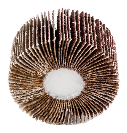 Ściernica listkowa trzpieniowa 60 x 30 x 6 mm, P40