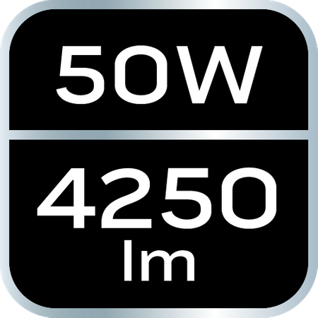 Reflektor pojedynczy 50W SMD LED 4250lm 230V na statywie 1.8m