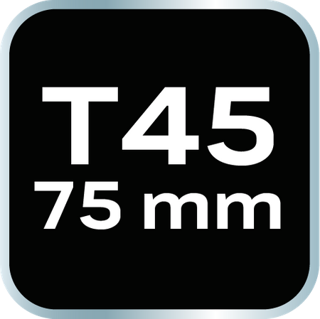 Końcówka TORX T45 x 75 mm, S2 x 2 szt.