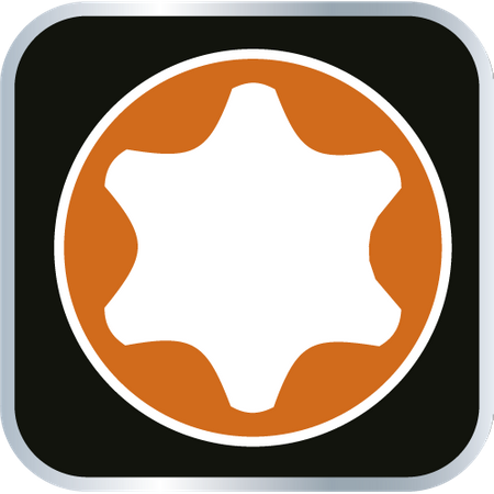 Wkrętak Torx T20 x 100 mm, S2