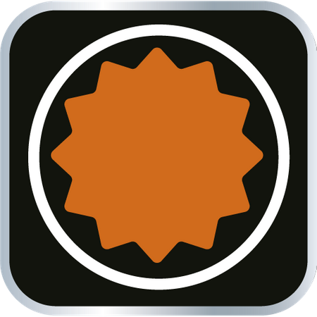 Końcówka Spline na nasadce 1/2", M5 x 55 mm