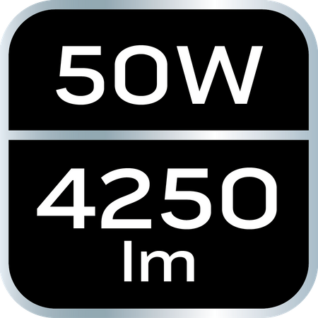 Reflektor z czujnikiem ruchu SMD 50W 4000 lm 230V