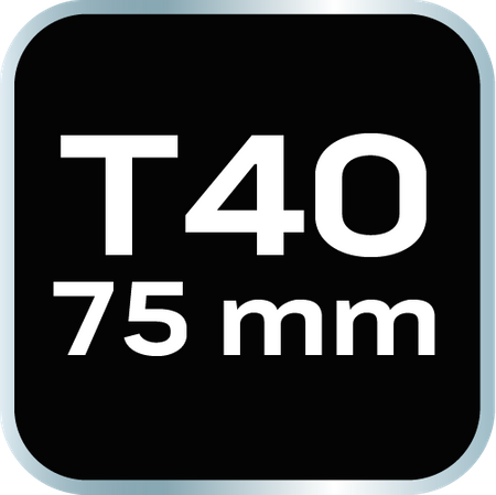 Końcówka TORX T40 x 75 mm, S2 x 2 szt.