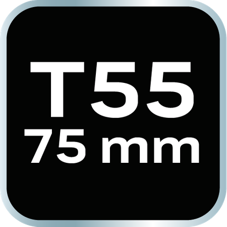 Końcówka TORX T55 x 75 mm, S2 x 2 szt.