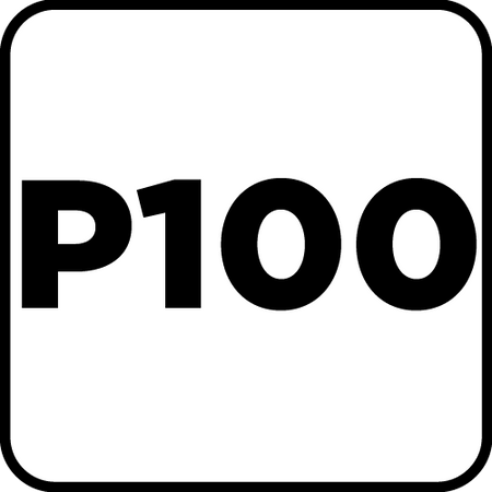 Ściernica listkowa trzpieniowa 30 x 25 x 6 mm, P100