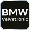 Zestaw blokad rozrządu do silników benzynowych BMW z systemem Valvetronic.