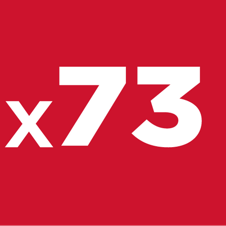 Zestaw narzędziowy 1/4", 3/8" 73 szt.