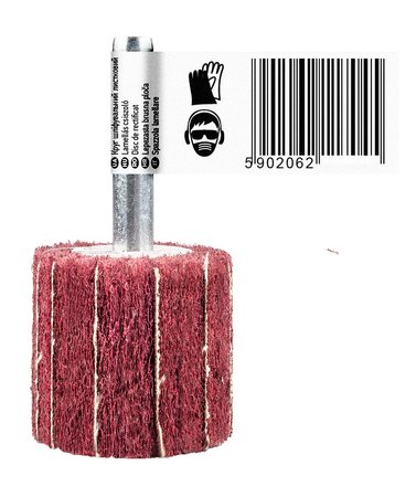 Ściernica listkowa trzpieniowa 30 x 25 x 6 mm, P80