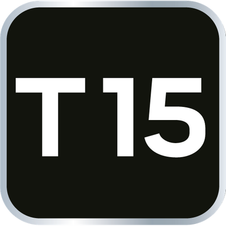 Wkrętak Torx T15 x 100 mm