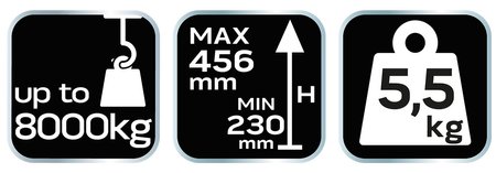 Podnośnik słupkowy 8 t