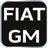 Zestaw blokad rozrządu do silników benzynowych Fiat/GM