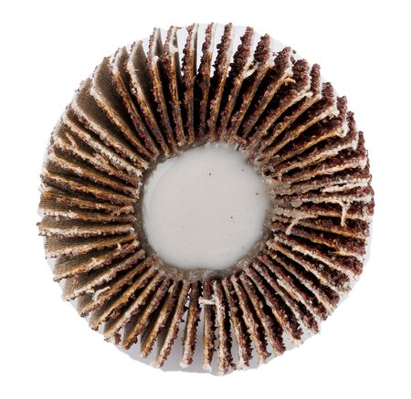 Ściernica listkowa trzpieniowa 30 x 15 x 6 mm, P100