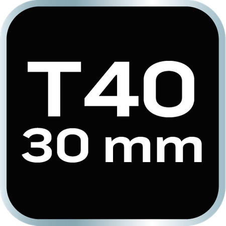 Końcówka TORX T40 x 30 mm, S2 x 2 szt.