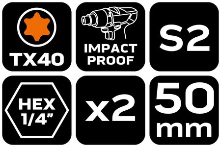 Bity udarowe TX40 x 50 mm, 2 szt.