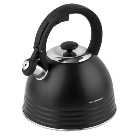 Czajnik nierdzewny Florina Terrano 2,5 l