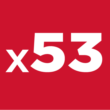 Zestaw kluczy nasadowych 1/4", 1/2", 53 szt.