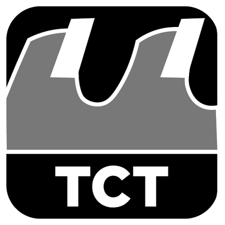 Brzeszczot do piły szablastej, HM, 305 x 50 x 1.5 mm, 2TPI