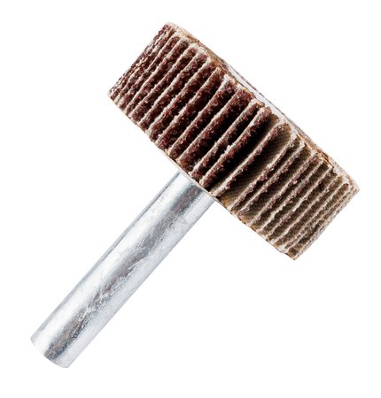 Ściernica listkowa trzpieniowa 30 x 15 x 6 mm, P100