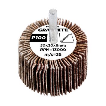 Ściernica listkowa trzpieniowa 50 x 30 x 6 mm, P100