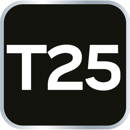 Wkrętak Torx T25 x 100 mm, S2