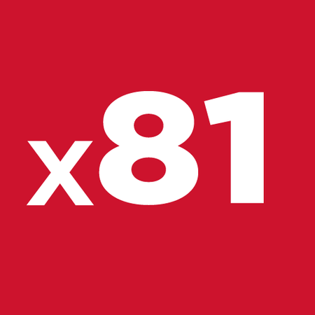 Zestaw narzędziowy 1/4", 1/2" 81 szt.