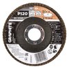 Ściernica listkowa 115 x 22.2 mm, P120