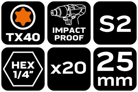 Bity udarowe TX40 x 25 mm, 20 szt.