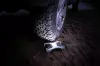 Brennenstuhl RUFUS 1500 Akumulatorowa Lampa Robocza LED 1500 lm, IP65, z funkcją powerbank