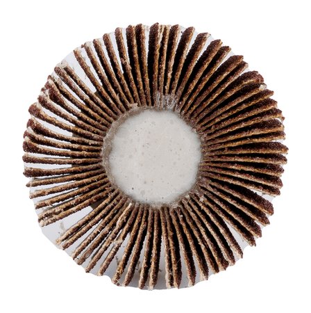 Ściernica listkowa trzpieniowa 80 x 30 x 6 mm, P100