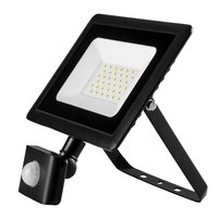 Reflektor z czujnikiem ruchu SMD 30W 2550 lm 230V