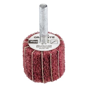 Ściernica listkowa trzpieniowa 30 x 25 x 6 mm, P100