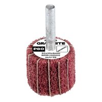 Ściernica listkowa trzpieniowa 30 x 25 x 6 mm, P80