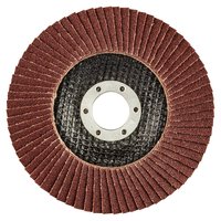 Ściernica listkowa 125 x 22.2 mm, K100