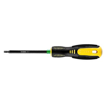 Wkrętak Torx T20 x 100 mm