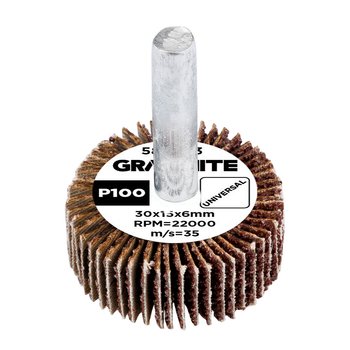 Ściernica listkowa trzpieniowa 30 x 15 x 6 mm, P100
