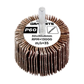 Ściernica listkowa trzpieniowa 50 x 30 x 6 mm, P60