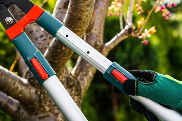 VERTO sekator do gałęzi teleskopowy 700–1000 mm, cięcie do 35 mm VERTO sekator do gałęzi teleskopowy 700–1000 mm, cięcie do 35 mm