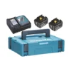 Makita 197624-2 zestaw zasilający 18 V 2×5,0 Ah (BL1850Bx2+DC18RC) MAKPAC