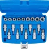 BGS 5100 zestaw nasadek do bitów i do kluczy nasadowych, 12,5 mm (1/2"), profil E / profil T (do Torx), 19 szt.