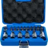 BGS 5101 zestaw bitów i nasadek do bitów, 12,5 mm (1/2"), profil T (do Torx), 27 szt. BGS 5101 zestaw bitów i nasadek do bitów, 12,5 mm (1/2"), profil T (do Torx), 27 szt.