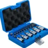 BGS 5101 zestaw bitów i nasadek do bitów, 12,5 mm (1/2"), profil T (do Torx), 27 szt. BGS 5101 zestaw bitów i nasadek do bitów, 12,5 mm (1/2"), profil T (do Torx), 27 szt.