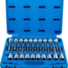 BGS 5170 zestaw nasadek do bitów, 12,5 mm (1/2"), gniazdo sześciokątne, profil T (do Torx), gniazdo wielokątne (do XZN) z łbem kulistym, 20 szt. BGS 5170 zestaw nasadek do bitów, 12,5 mm (1/2"), gniazdo sześciokątne, profil T (do Torx), gniazdo wielokątne (do XZN) z łbem kulistym, 20 szt.
