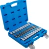 BGS 5170 zestaw nasadek do bitów, 12,5 mm (1/2"), gniazdo sześciokątne, profil T (do Torx), gniazdo wielokątne (do XZN) z łbem kulistym, 20 szt. BGS 5170 zestaw nasadek do bitów, 12,5 mm (1/2"), gniazdo sześciokątne, profil T (do Torx), gniazdo wielokątne (do XZN) z łbem kulistym, 20 szt.
