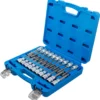 BGS 5170 zestaw nasadek do bitów, 12,5 mm (1/2"), gniazdo sześciokątne, profil T (do Torx), gniazdo wielokątne (do XZN) z łbem kulistym, 20 szt. BGS 5170 zestaw nasadek do bitów, 12,5 mm (1/2"), gniazdo sześciokątne, profil T (do Torx), gniazdo wielokątne (do XZN) z łbem kulistym, 20 szt.